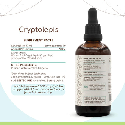 Cryptolepis Alcohol Herbal Extract Tincture 4 Oz – Super-Concentrated Wildcrafted Cryptolepis Sanguinolenta