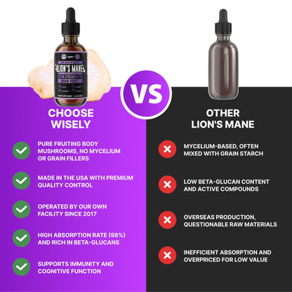 HERBIFY Lions Mane Supplement – Brain Booster for Memory, Focus & Clarity | 4 fl oz Grape
