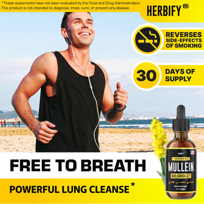 HERBIFY Mullein Extract 2 oz Tincture for Respiratory Health – Mullein Leaf & Flowers Blend