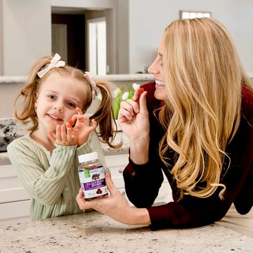 HERBION Elderberry Gummies with Vitamin C & Zinc | Immune Support, Gluten-Free & Gelatin-Free, 60 Gummies (USA Made)