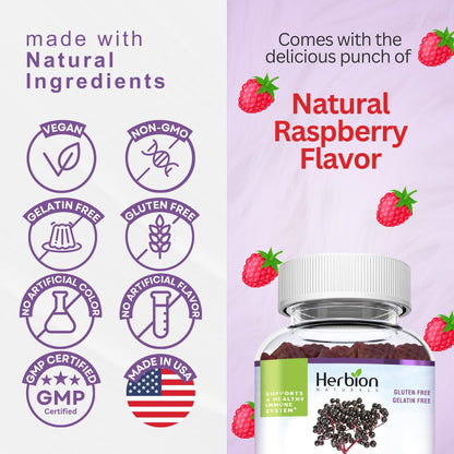 HERBION Elderberry Gummies with Vitamin C & Zinc | Immune Support, Gluten-Free & Gelatin-Free, 60 Gummies (USA Made)