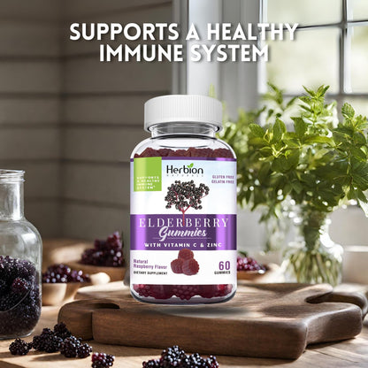 HERBION Elderberry Gummies with Vitamin C & Zinc | Immune Support, Gluten-Free & Gelatin-Free, 60 Gummies (USA Made)