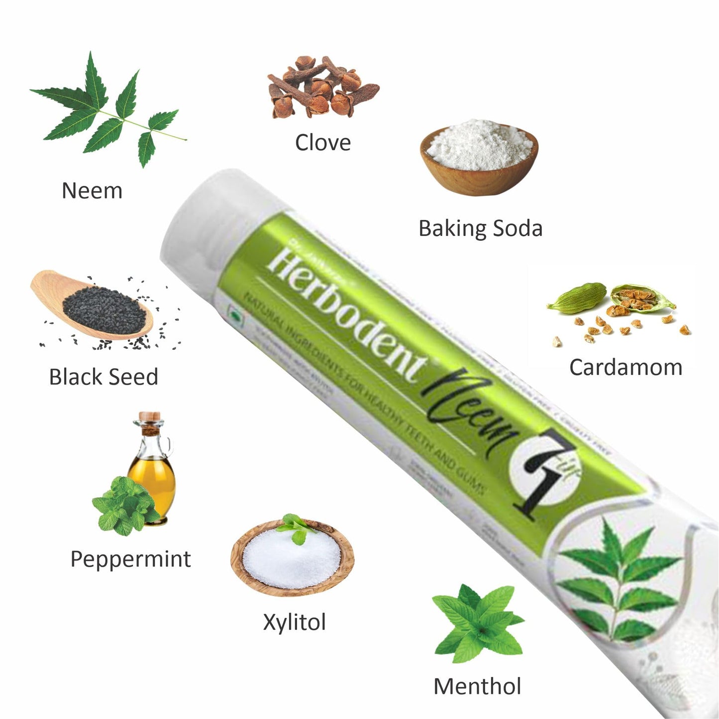 Herbodent Neem 7 in 1 Toothpaste – 6.53 oz (Pack of 6) | Organic Neem, Black Seed, Xylitol, Cardamom & Mint