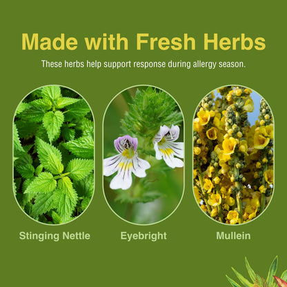 Herbs, Etc. Allergy ReLeaf System – Seasonal Allergy Support (30 Servings)
