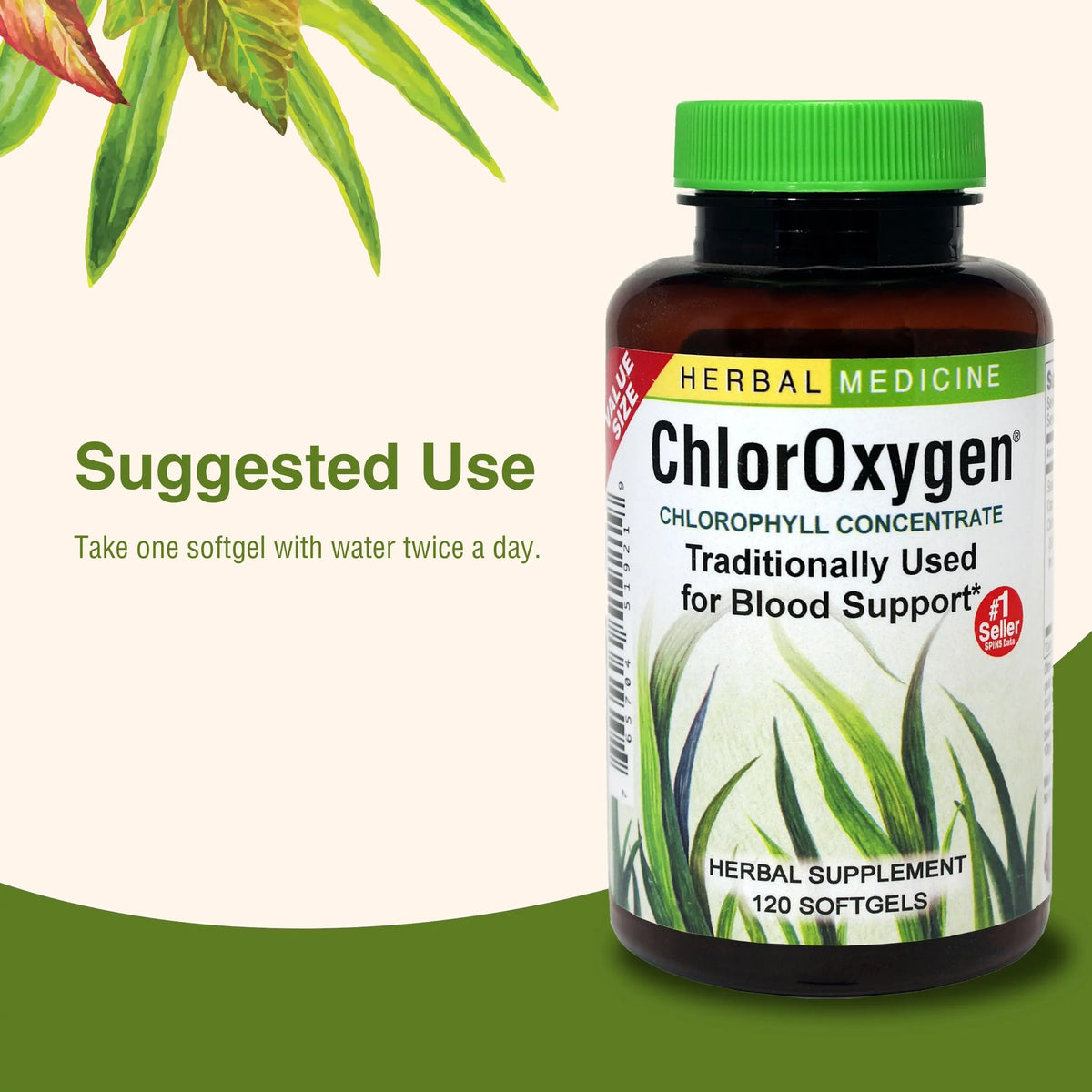 Herbs Etc. ChlorOxygen Chlorophyll Concentrate – Blood Circulation & Altitude Support | 120 Softgels (2 Pack) BritishVita | Premium UK Vitamins & Wellness Supplements