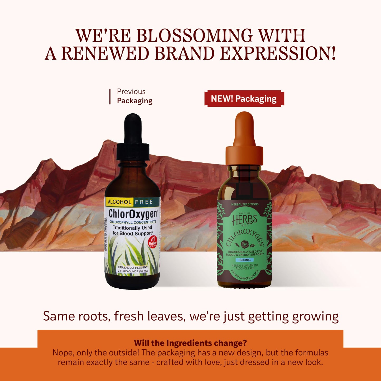 ChlorOxygen Chlorophyll Concentrate by Herbs Etc. - Alcohol-Free, Highly-Concentrated Chlorophyll | 2 oz (132 Servings)