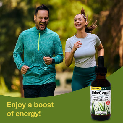 ChlorOxygen Chlorophyll Concentrate by Herbs Etc. - Alcohol-Free, Highly-Concentrated Chlorophyll | 2 oz (132 Servings)