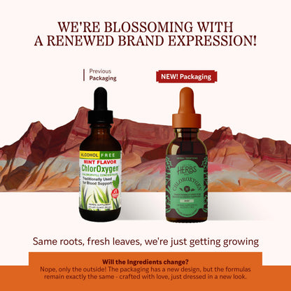 ChlorOxygen Chlorophyll Concentrate - Mint - Herbs Etc. - 2 fl oz