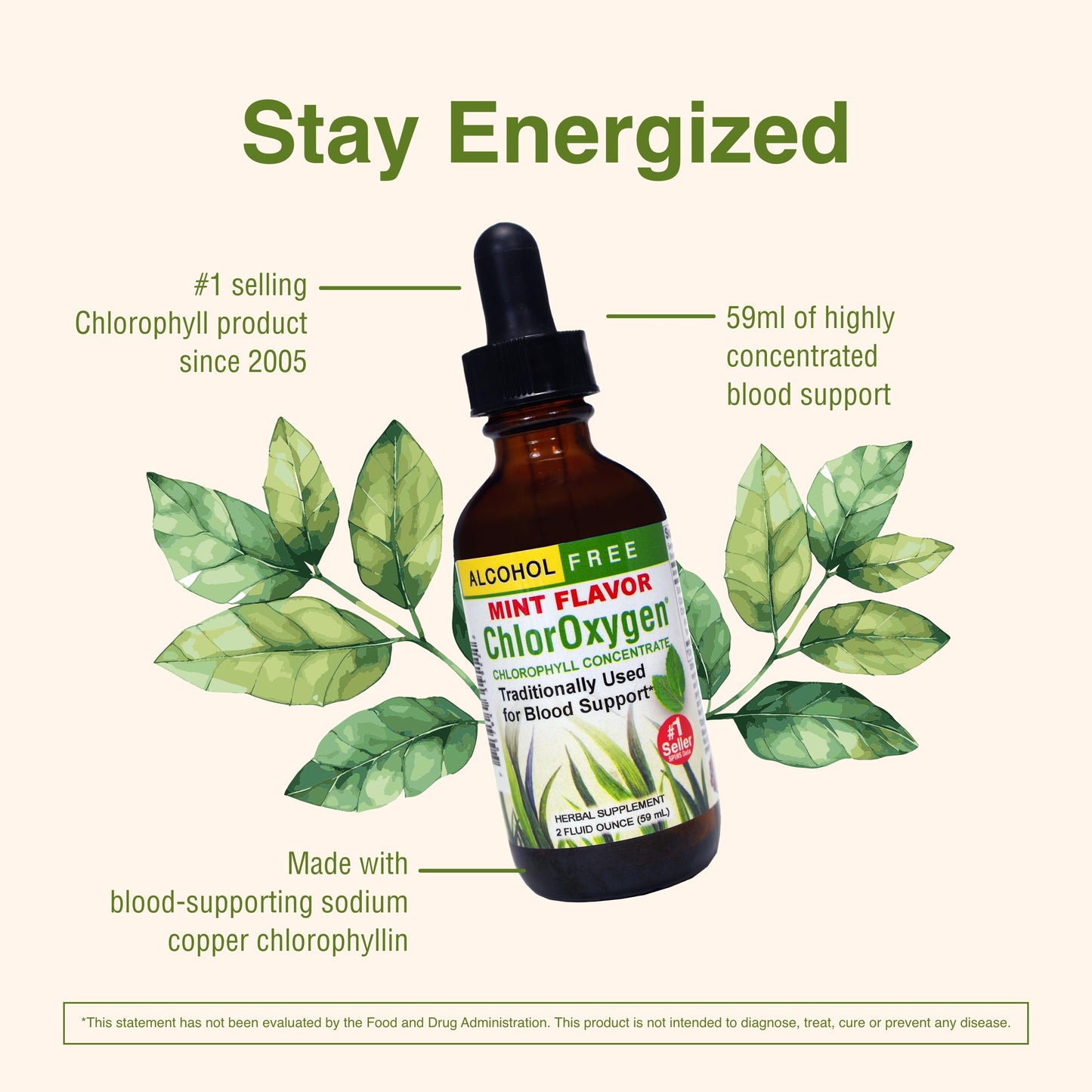 ChlorOxygen Chlorophyll Concentrate - Mint - Herbs Etc. - 2 fl oz
