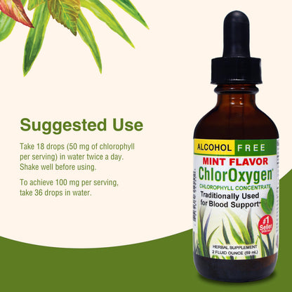 ChlorOxygen Chlorophyll Concentrate - Mint - Herbs Etc. - 2 fl oz