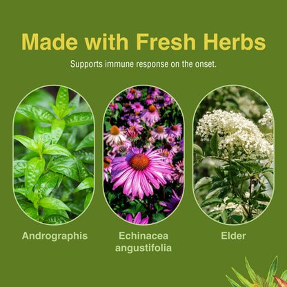 Herbs Etc. Immune Alert 60 ct Softgels | Immune Support