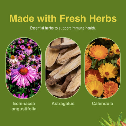Herbs Etc. Immunoboost - Immune Support Herbal Supplement (Gluten-Free) 60 Softgels