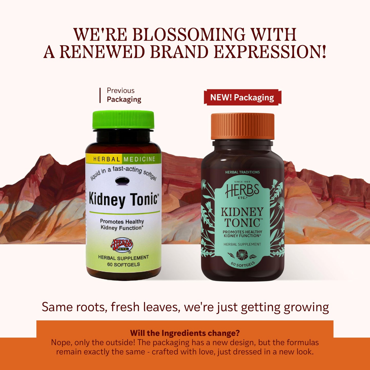 Herbs, Etc. Kidney Tonic Softgels – Natural Kidney Support (60 Servings)