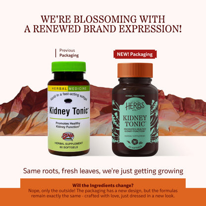 Herbs, Etc. Kidney Tonic Softgels – Natural Kidney Support (60 Servings)