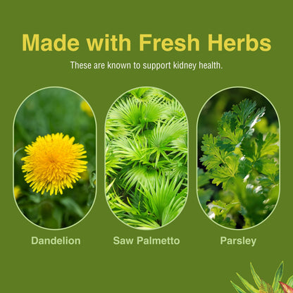 Herbs, Etc. Kidney Tonic Softgels – Natural Kidney Support (60 Servings)