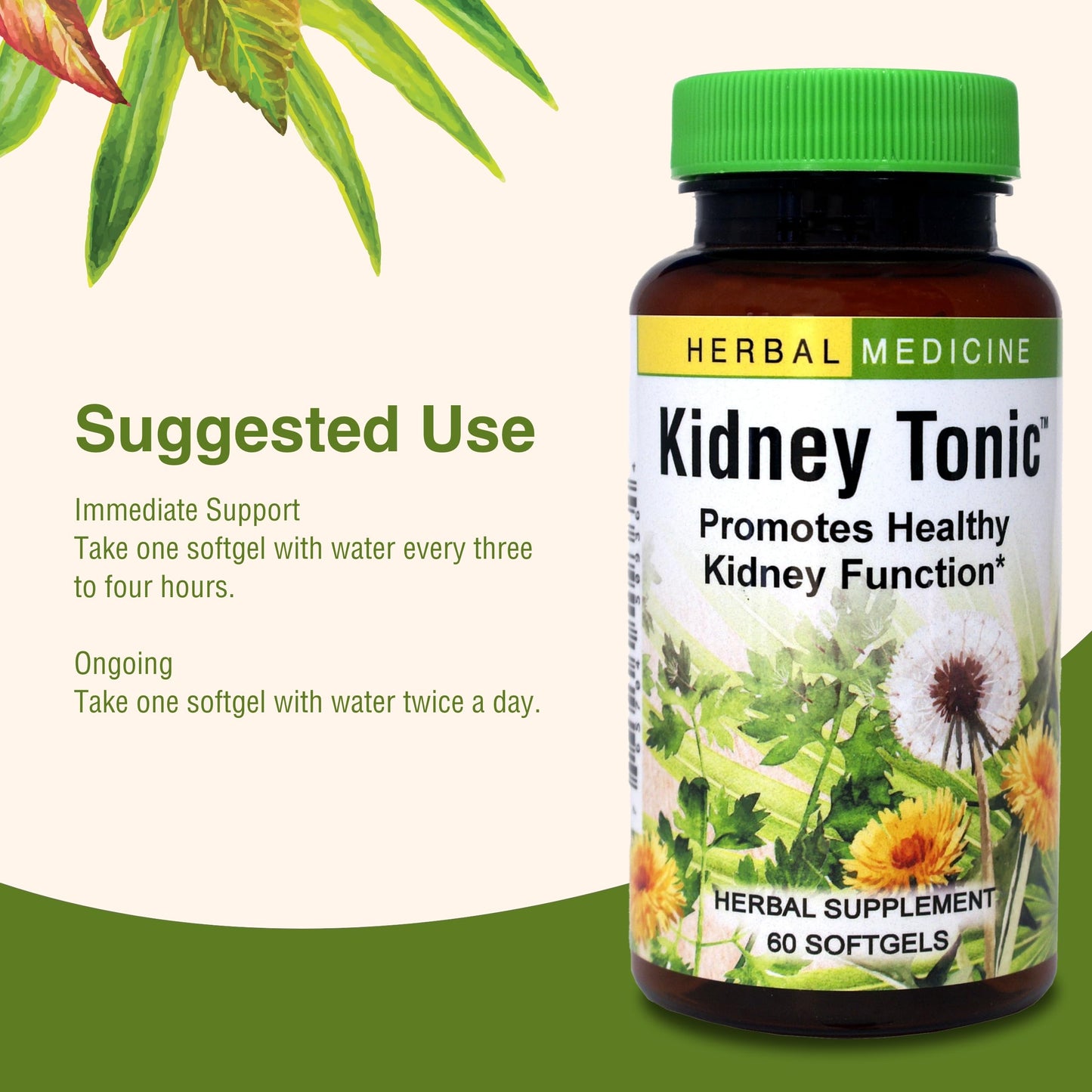 Herbs, Etc. Kidney Tonic Softgels – Natural Kidney Support (60 Servings)
