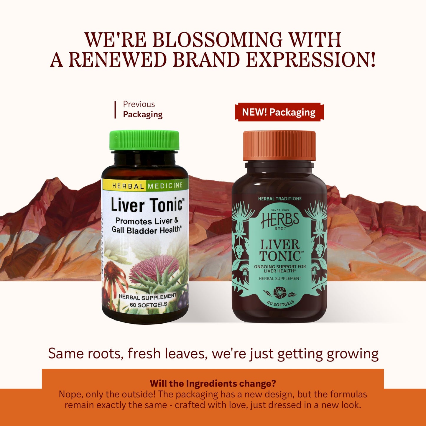 Herbs Etc. Liver Tonic – Gallbladder & Liver Health Supplement | Milk Thistle, Schisandra & Oregon Grape | 60 Softgels