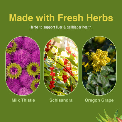 Herbs Etc. Liver Tonic – Gallbladder & Liver Health Supplement | Milk Thistle, Schisandra & Oregon Grape | 60 Softgels