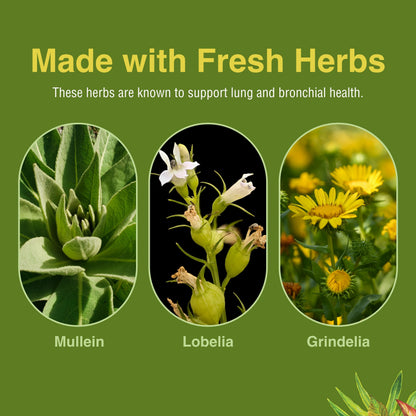Herbs Etc. Lung Tonic - Lung & Respiratory Support - 60 Softgels