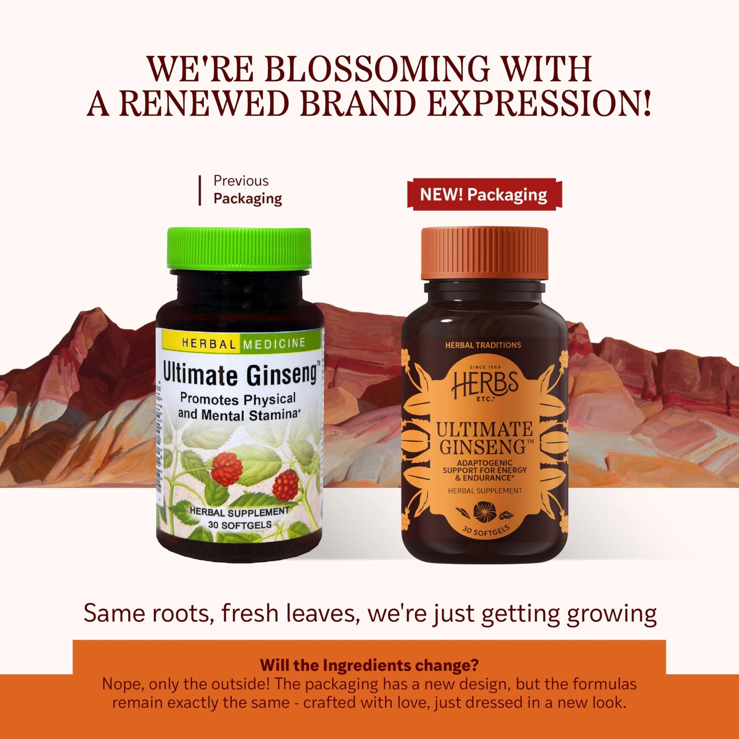 Herbs Etc. Ultimate Ginseng Softgels – Stamina & Brain Health | Gluten-Free 30 Servings