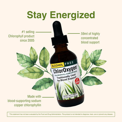 ChlorOxygen Chlorophyll Concentrate by Herbs Etc. - Alcohol-Free, Highly-Concentrated Chlorophyll | 2 oz (132 Servings)