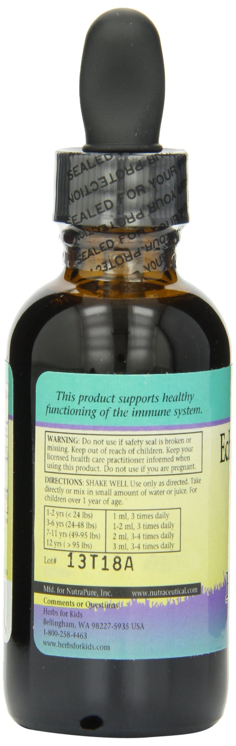 Herbs for Kids Echinacea/Goldenroot (BlackBerry, 2oz) – Immune Support