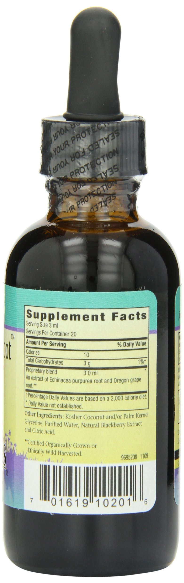 Herbs for Kids Echinacea/Goldenroot (BlackBerry, 2oz) – Immune Support