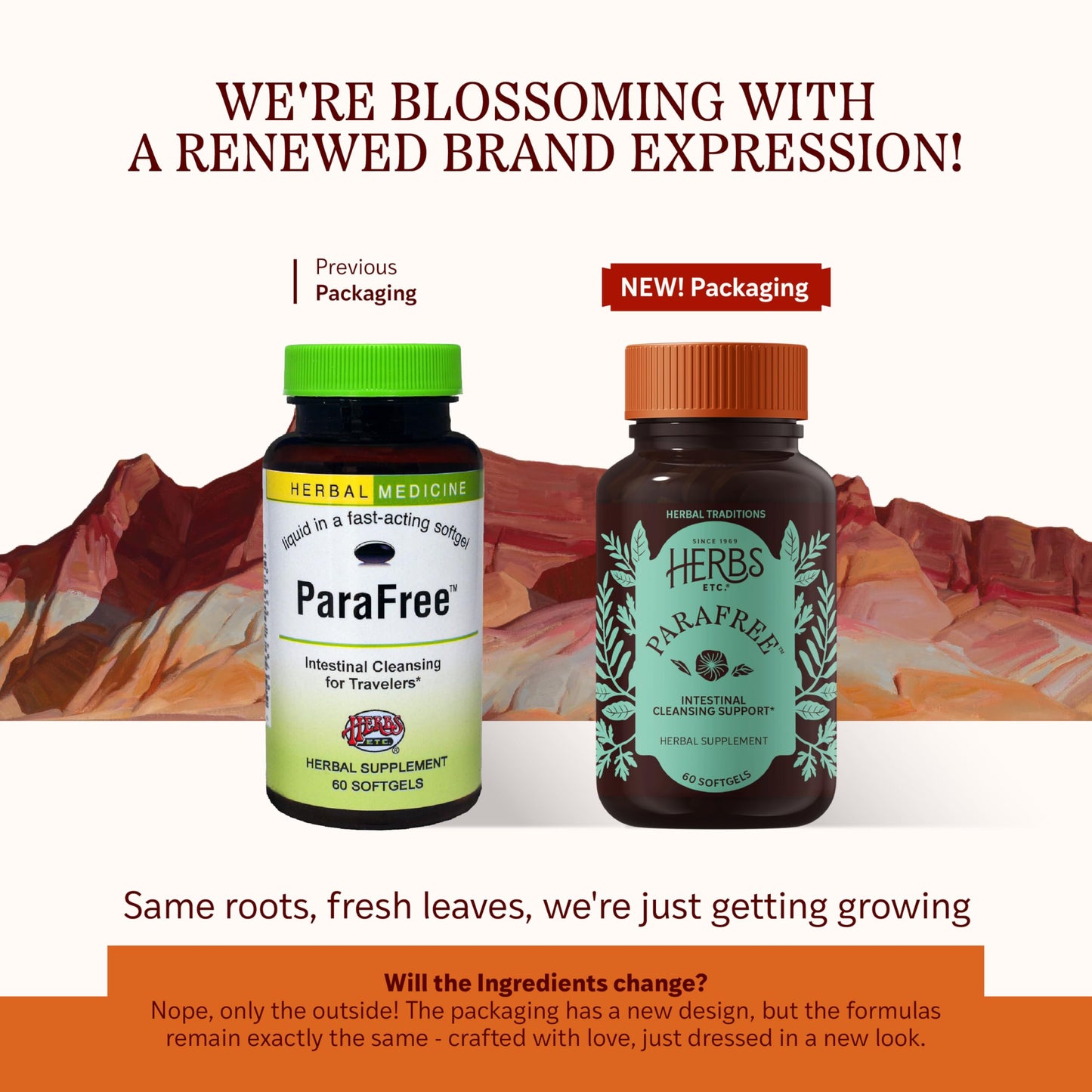 Herbs Etc. ParaFree - Gastrointestinal Support | Digestive Herbal Supplement 60 Softgels