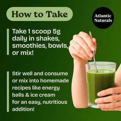Atlantic Naturals Sea Moss Super Greens Powder – Mixed Berry (12 Veg, 15 Fruits, Probiotics, 16 Herbs)