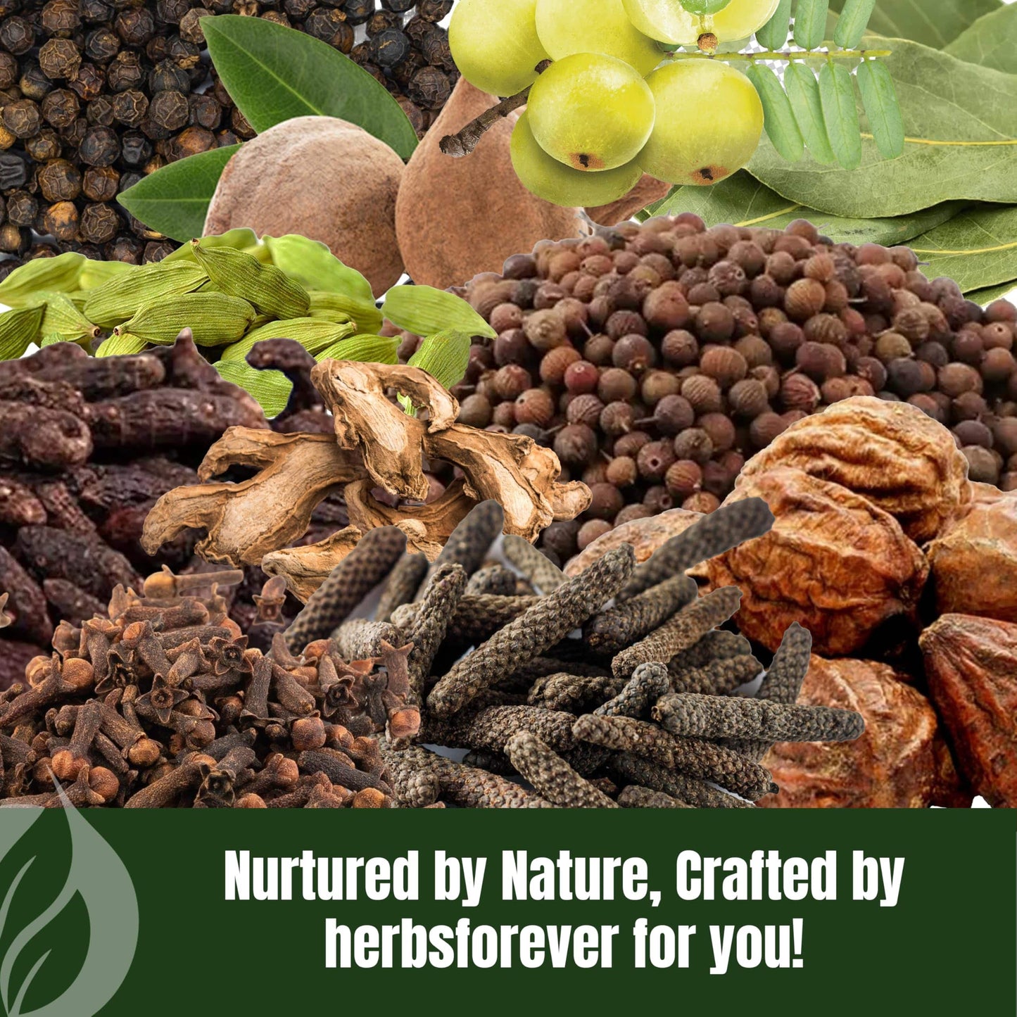 Herbsforever Avipatikar Churna | Ayurvedic Digestive Support | Non-GMO & Vegan | 100 GMS (Pack of 2)