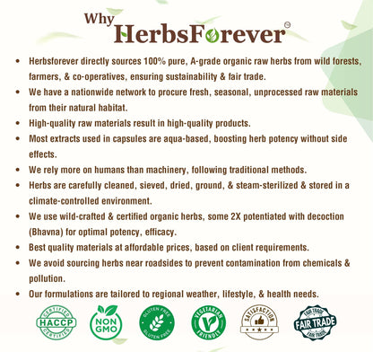 Herbsforever Avipatikar Churna | Ayurvedic Digestive Support | Non-GMO & Vegan | 100 GMS (Pack of 2)