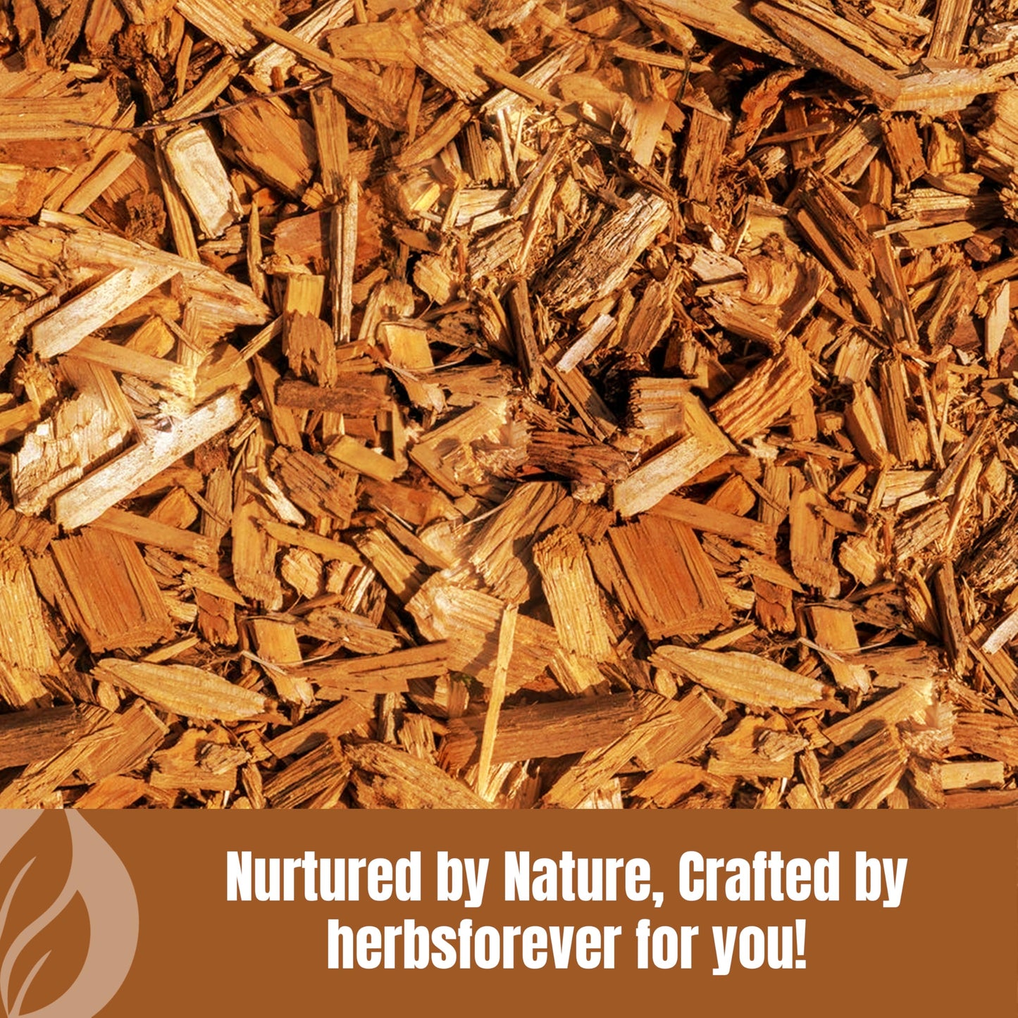 Herbsforever Bijasar Powder – Pterocarpus Marsupium | 230GMS | 100% Pure & Natural, Non-GMO, Vegan