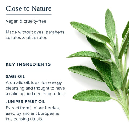 Heritage Store Aura Sage Spray – Smokeless Sage with Juniper & Vor-Mag Water, 4oz