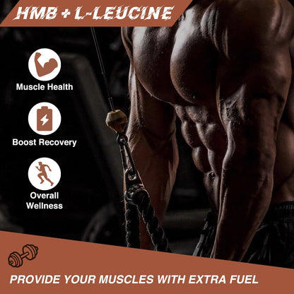 HFELIZ HMB + Leucine Supplement – 3500mg L-Leucine HMB with Vitamin D3, 90 Capsules