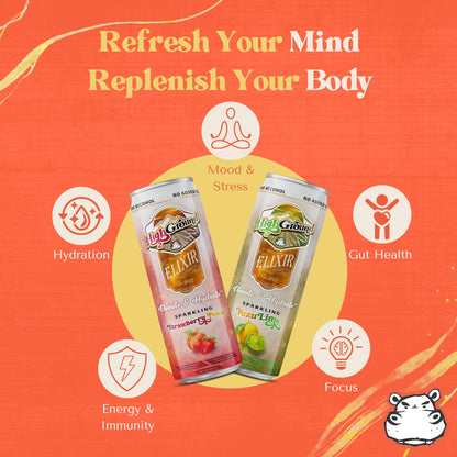 High Ground Elixir Mushroom Seltzer Variety Pack – Focus & Stress Adaptogens