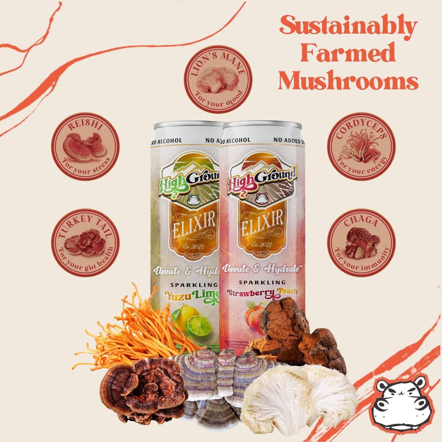 High Ground Elixir Mushroom Seltzer Variety Pack – Focus & Stress Adaptogens