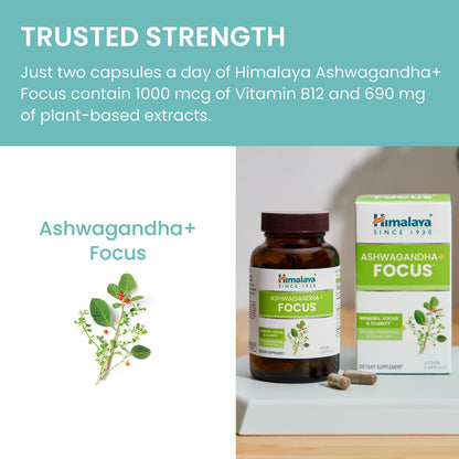 Himalaya Ashwagandha+ Focus – Nootropic Memory & Clarity (Vegan, Non-GMO)
