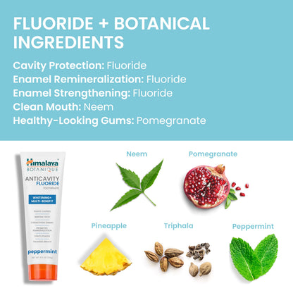 Himalaya Botanique Anticavity Fluoride Toothpaste - Enamel Strength & Remineralization (4 oz)
