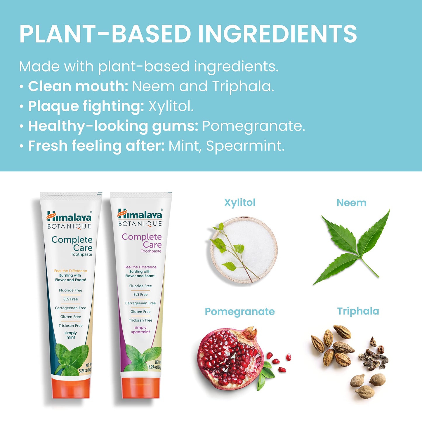 Himalaya Botanique Complete Care Toothpaste – Herbal Mint, Fluoride Free, 5.29 oz