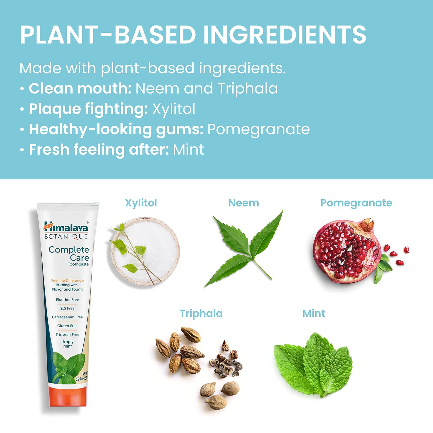 Himalaya Botanique Complete Care Toothpaste - Herbal Mint, Fluoride Free