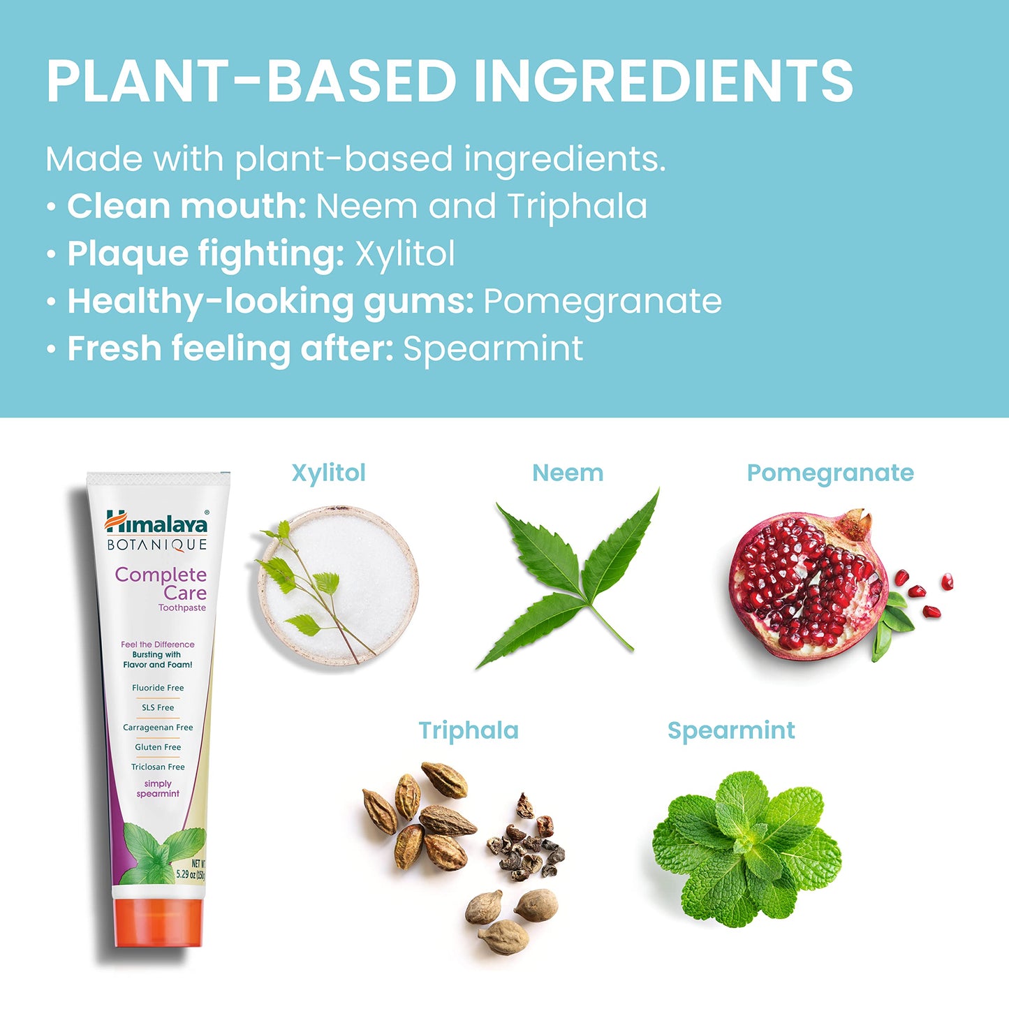 Himalaya Botanique Complete Care Toothpaste – Simply Spearmint, Plaque Reduction, 5.29 oz, 4 Pack