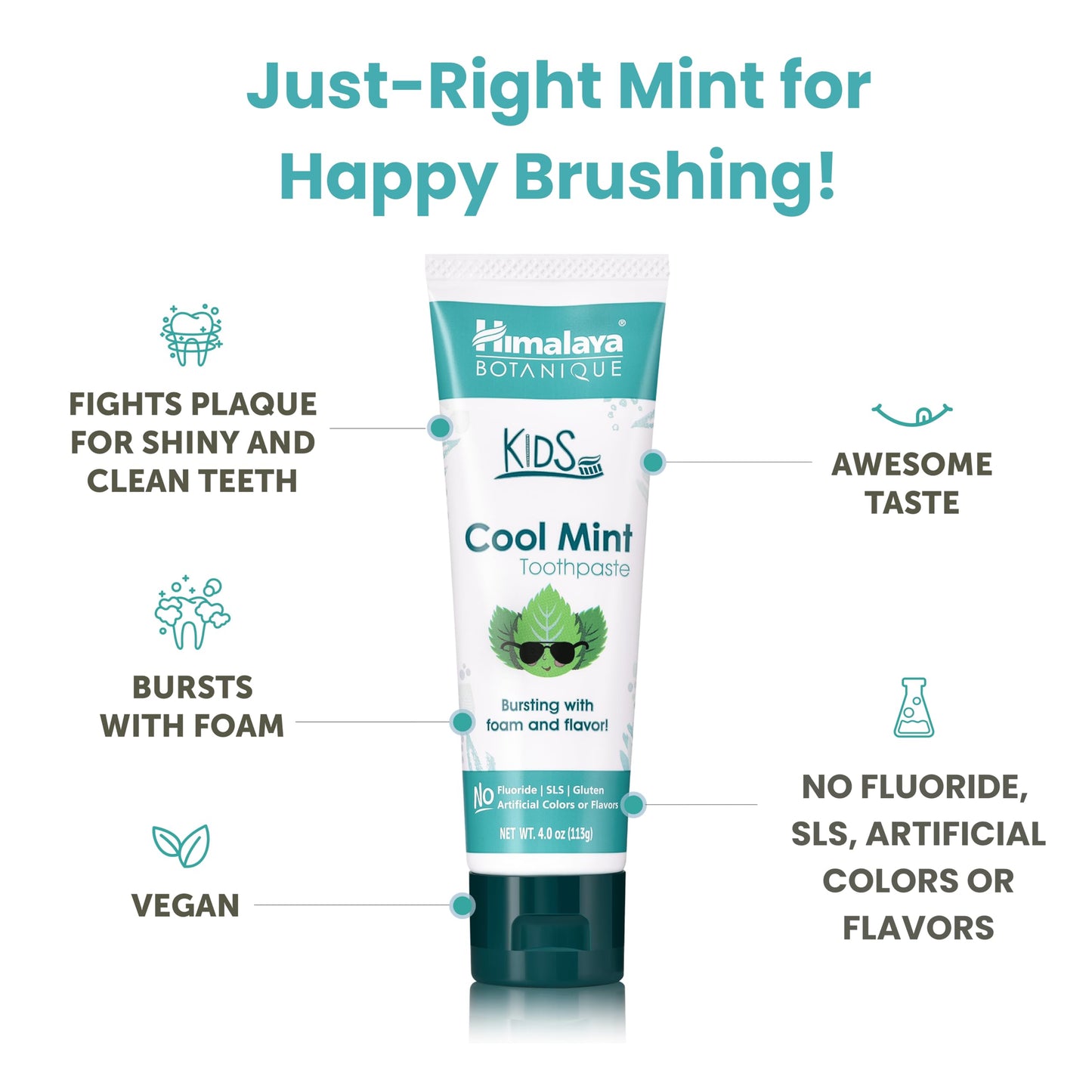 Himalaya Botanique Kids Toothpaste – Herbal Mint, Fluoride & SLS Free | 4 oz x 2