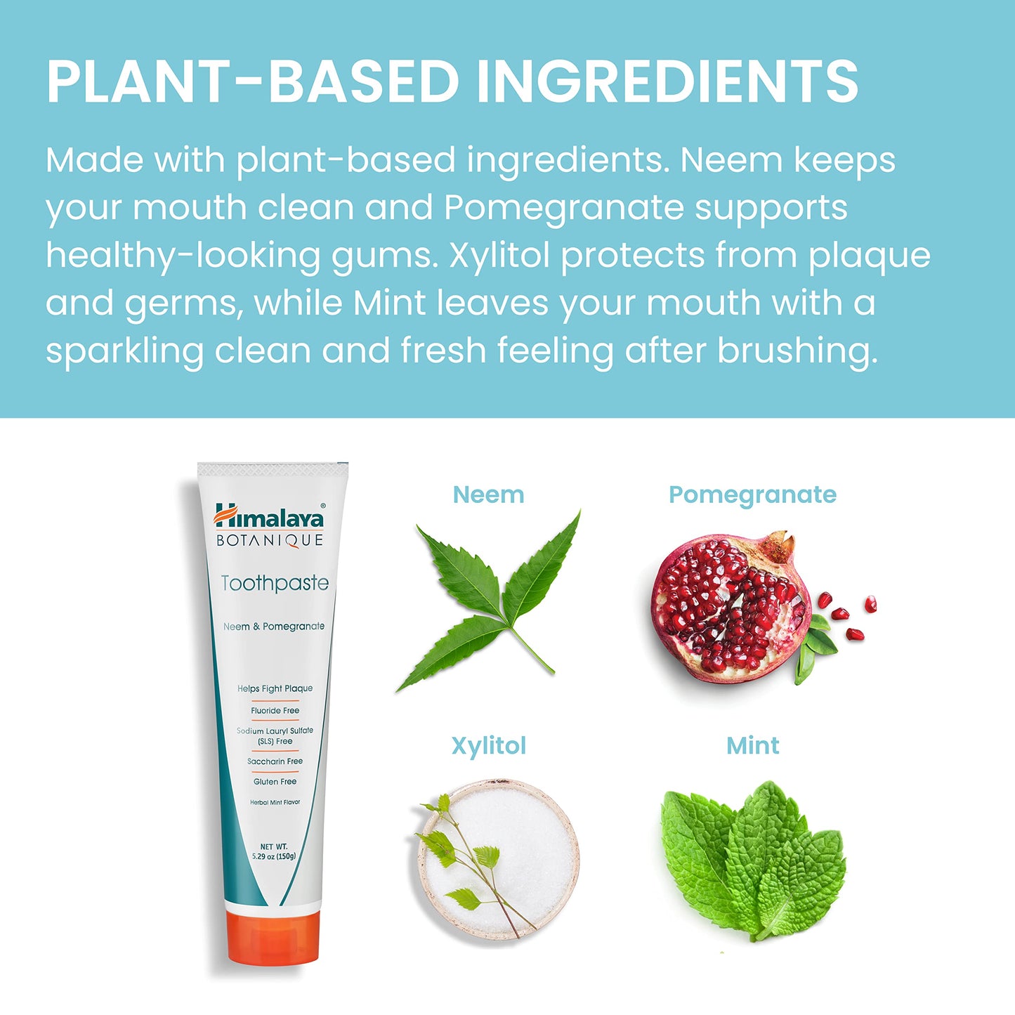 Himalaya Botanique Neem & Pomegranate Toothpaste – Mint Flavor – Fluoride Free, Vegan, SLS Free, Gluten Free | 5.29 oz