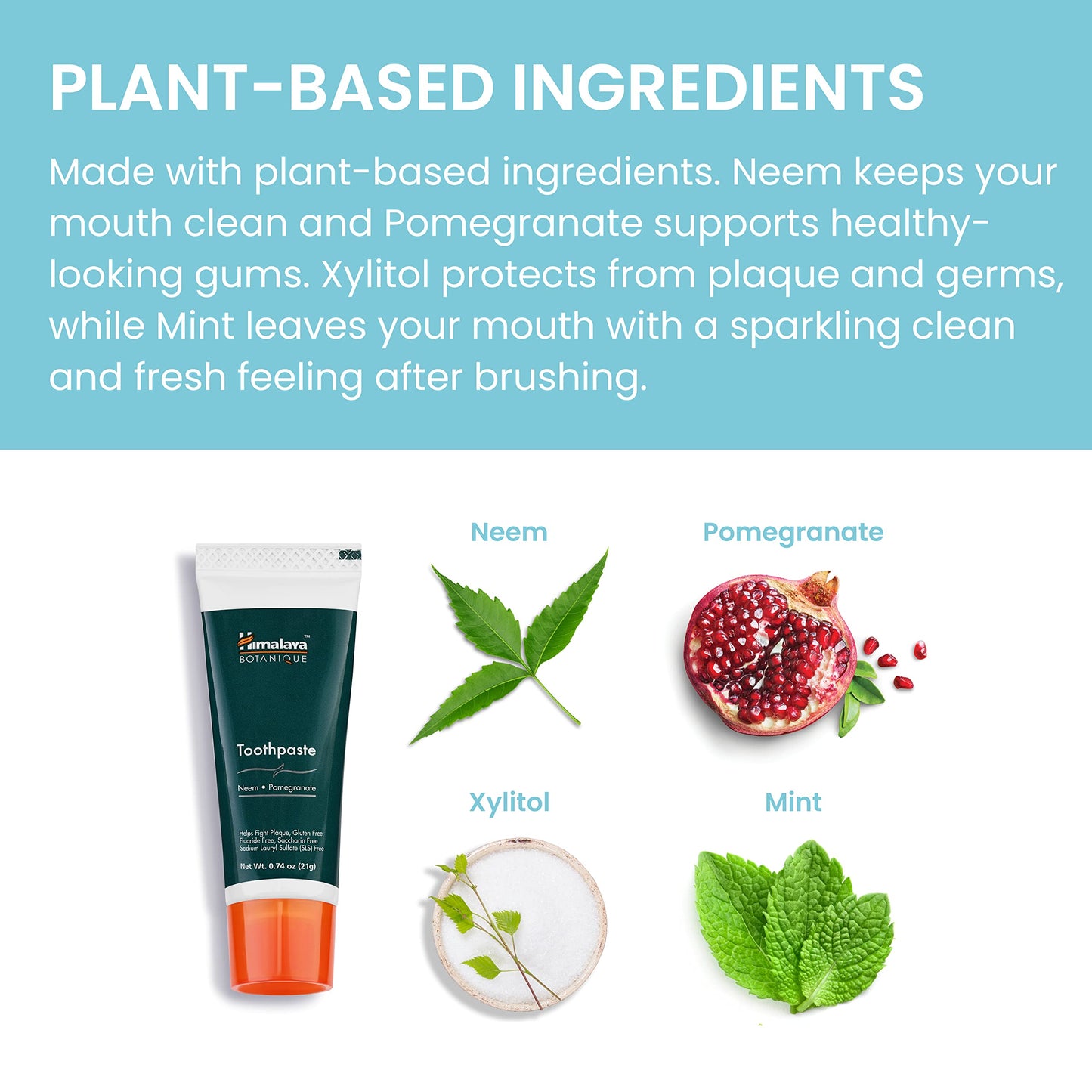 Himalaya Botanique Neem & Pomegranate Travel Toothpaste - Mint, Fluoride Free, 0.74 oz, Pack of 10