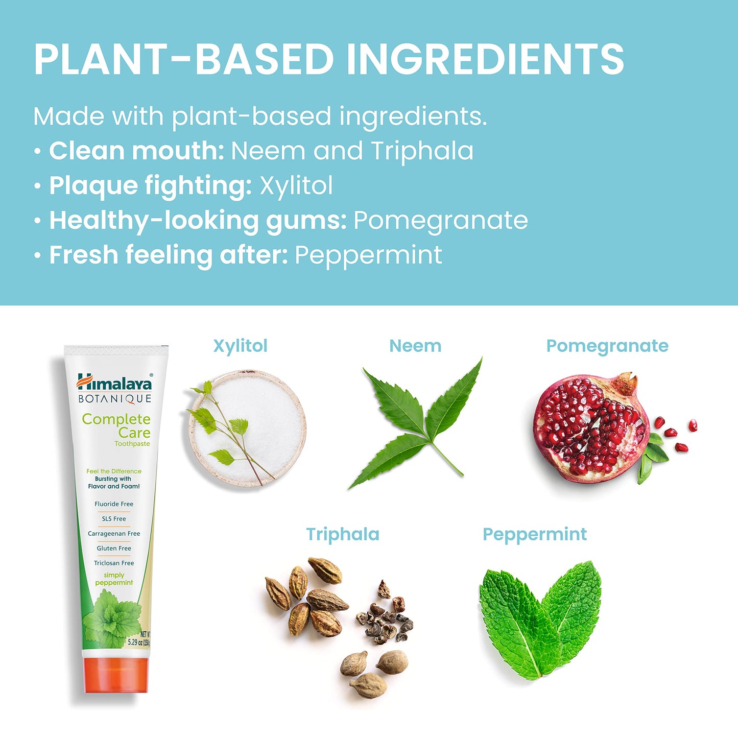 Himalaya Botanique Complete Care Toothpaste – Herbal, Fluoride Free, Peppermint (2 Pack)