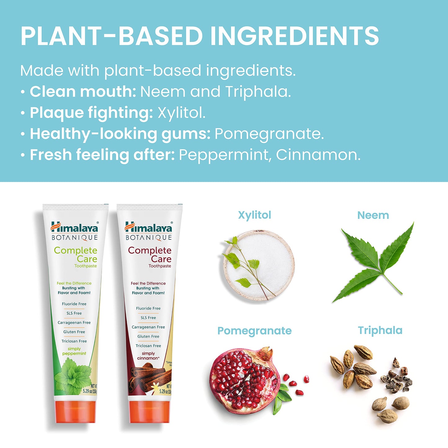 Himalaya Botanique Complete Care Toothpaste – Herbal, Fluoride Free