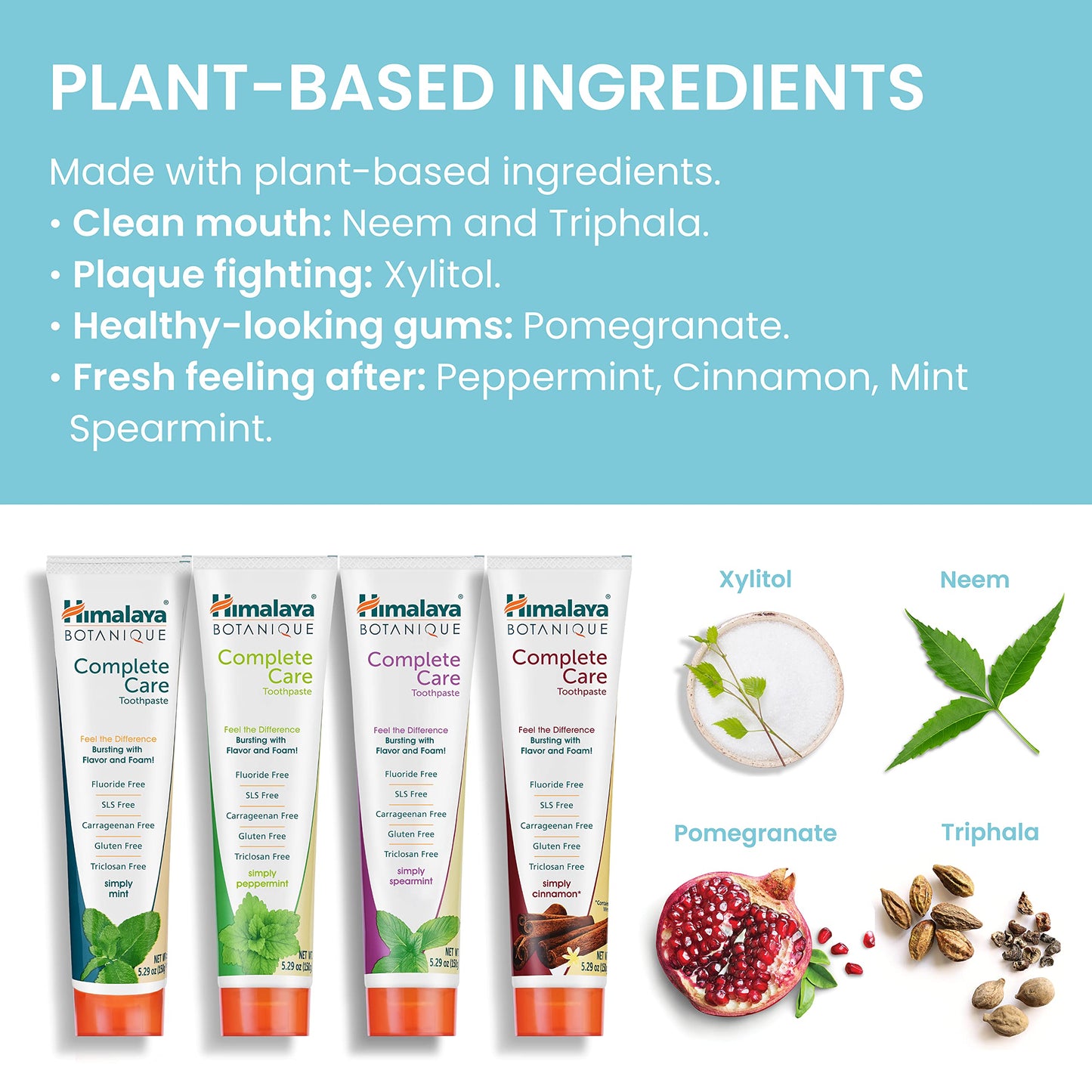 Himalaya Botanique Complete Care Toothpaste – Herbal 4-Pack, Fluoride Free, SLS Free