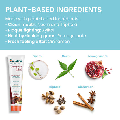 Himalaya Botanique Complete Care Toothpaste - Herbal Cinnamon, Fluoride Free, SLS Free | 2 Pack