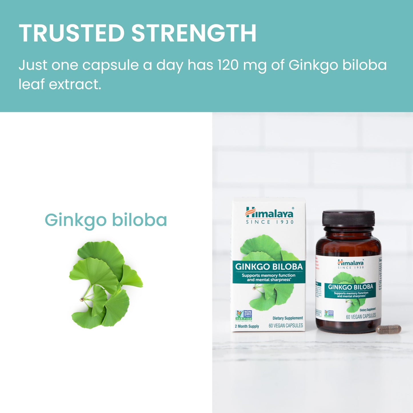 Himalaya Ginkgo Biloba 120 mg | 60 Day Supply | Memory & Focus Support