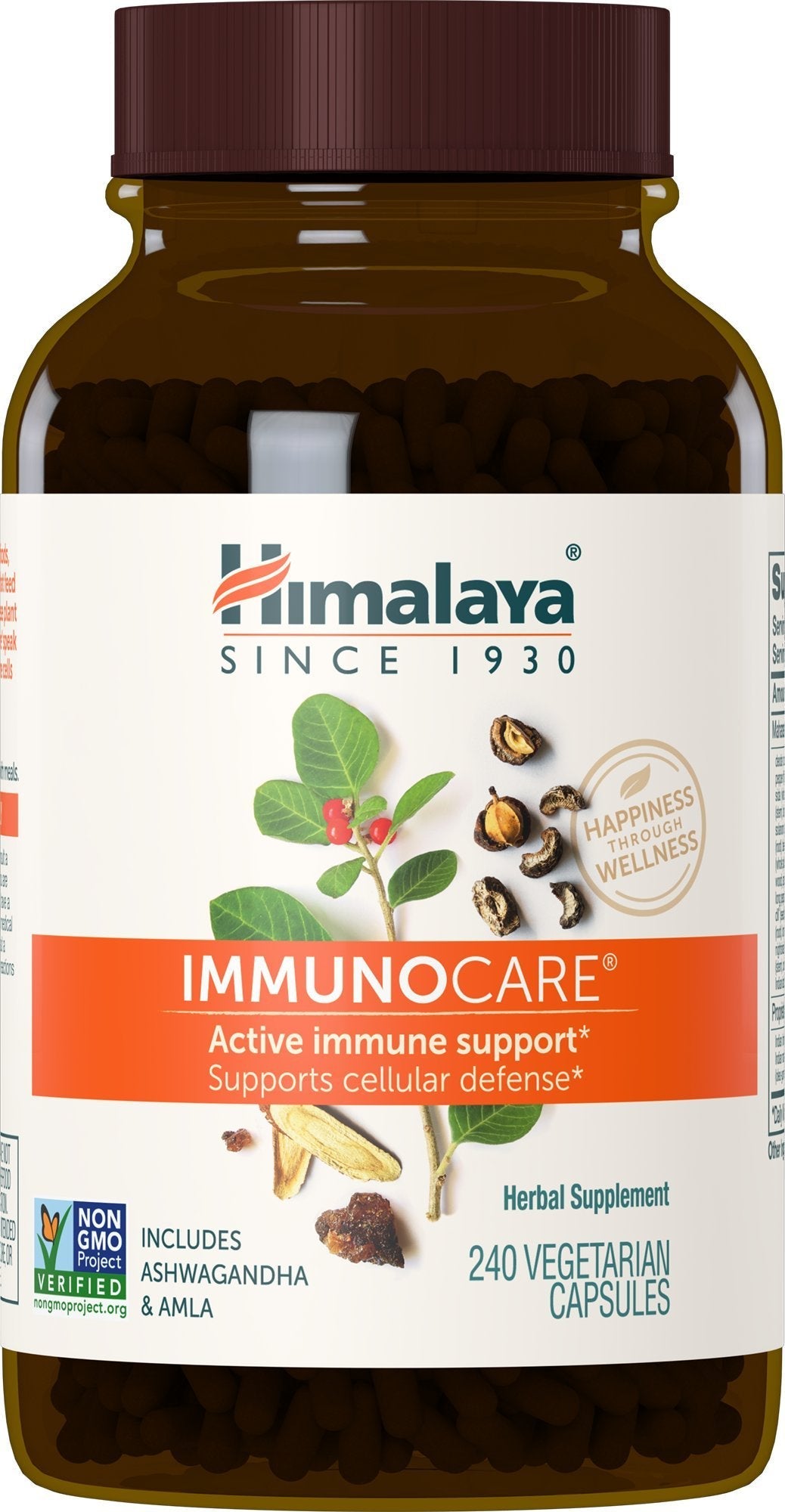 Himalaya ImmunoCare 60 Day Supply – Herbal Immune Support (Ashwagandha & Amla) | Vegan